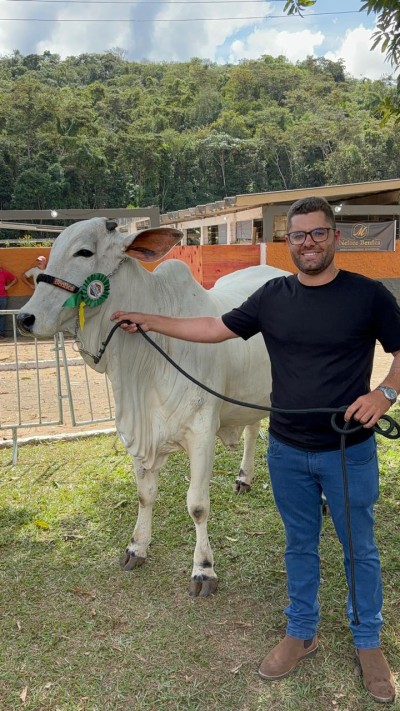 FAZENDA NELORE BENFICA: resultados que  reforçam nossa história de excelência
