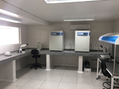 Cenatte Embriões anuncia novo parceiro comercial no Paraguai