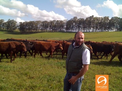 Parcerias Comerciais:  In vitro sul e Cenatte Embriões juntos na caminhada desde 2003